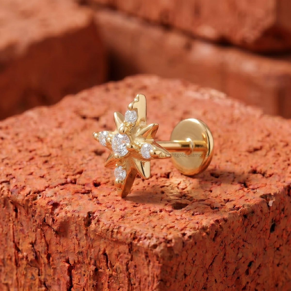 Northen Star Cartilage Earrings